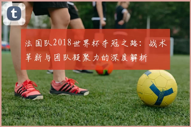 法国队2018世界杯夺冠之路:战术革新与团队凝聚力的深度解析