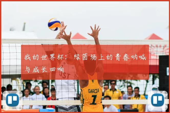 我的世界杯:绿茵场上的青春呐喊与成长回响