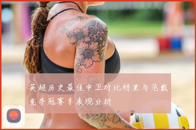 英超历史最佳中卫对比特里与范戴克夺冠赛季表现分析