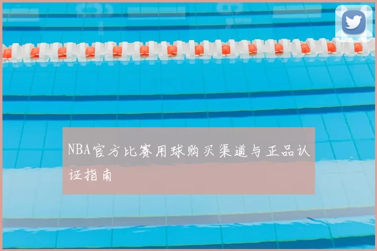 NBA官方比赛用球购买渠道与正品认证指南