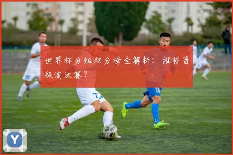 世界杯分组积分榜全解析:谁将晋级淘汰赛?