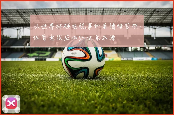 从世界杯砸电视事件看情绪管理,体育竞技应回归快乐本源