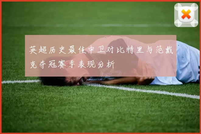 英超历史最佳中卫对比特里与范戴克夺冠赛季表现分析