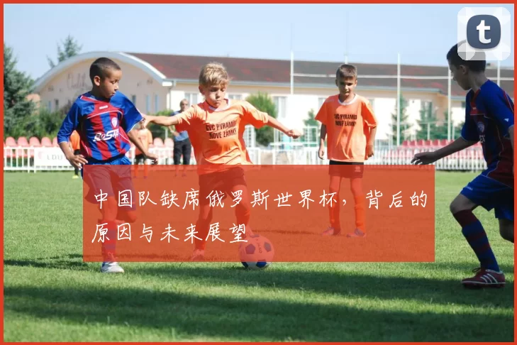 中国队缺席俄罗斯世界杯,背后的原因与未来展望