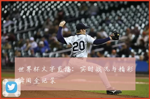 世界杯文字直播:实时战况与精彩瞬间全记录