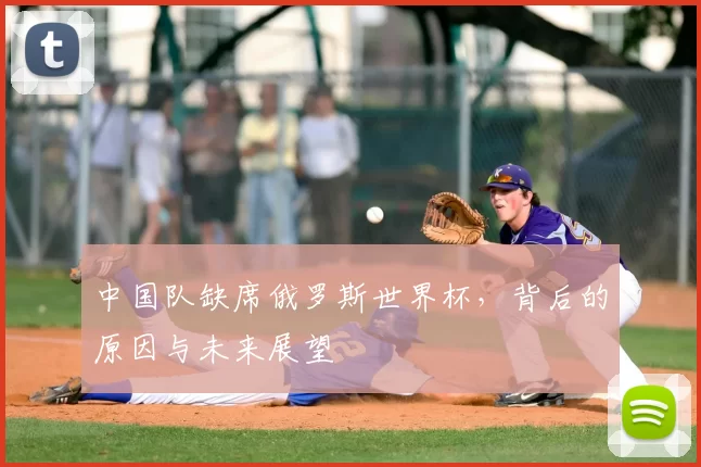 中国队缺席俄罗斯世界杯，背后的原因与未来展望
