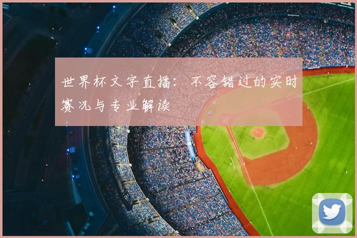世界杯文字直播:不容错过的实时赛况与专业解读