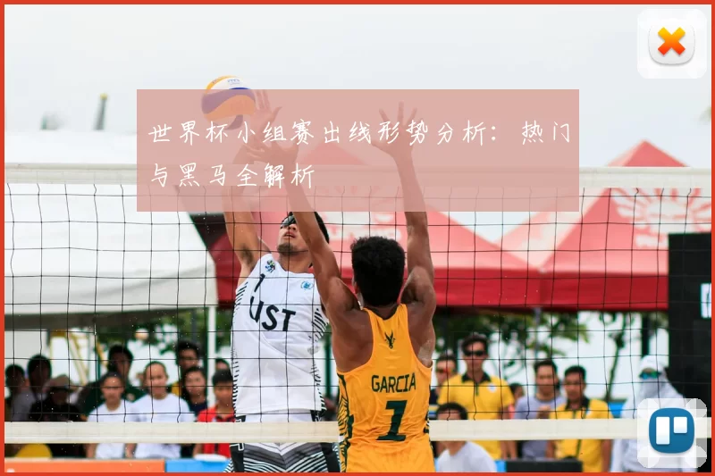 世界杯小组赛出线形势分析:热门与黑马全解析