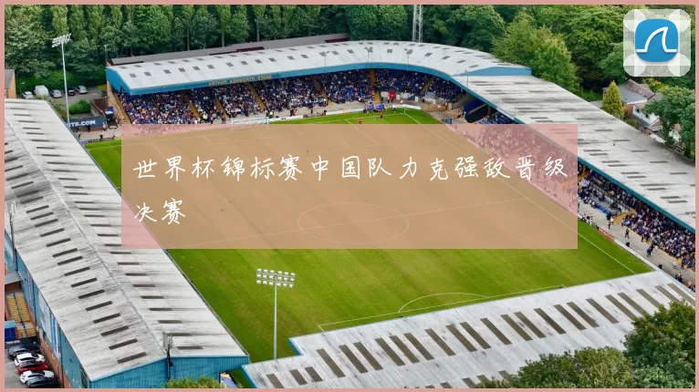 世界杯锦标赛中国队力克强敌晋级决赛